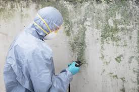 Best Crawl Space Mold Remediation  in Lake Brownwood, TX